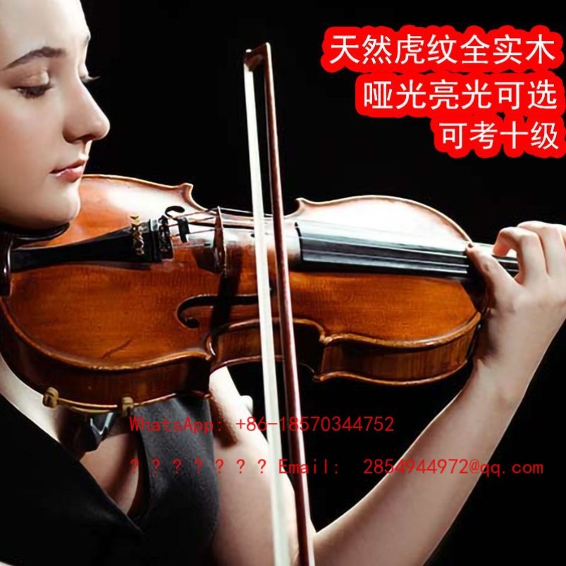 Musical Instrument Net - Profesyonel Performans Kalitesinde Keman Müzik Aleti