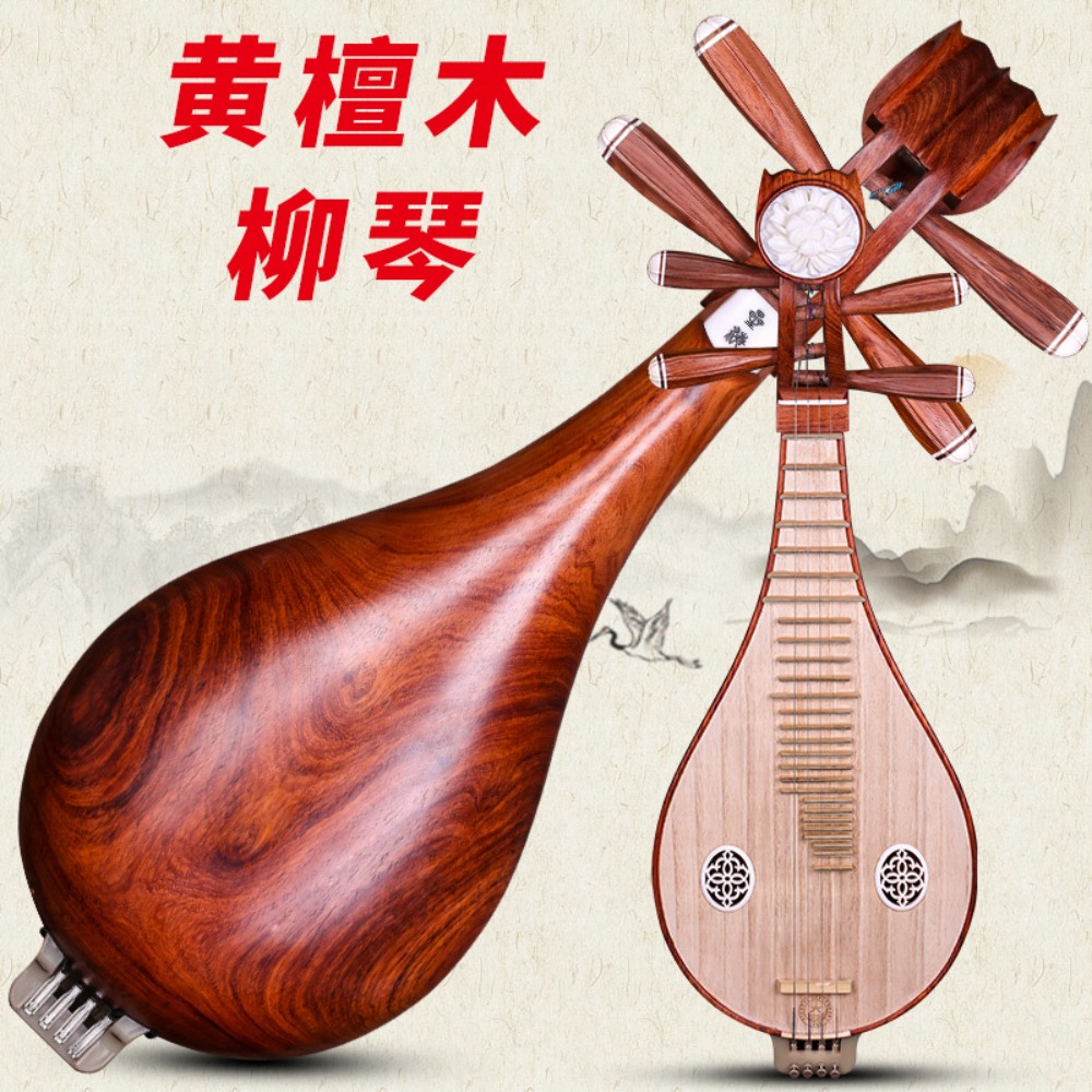 Pekin Xinghai 8414-A Şakayık D - Musical Instrument With A incelemesi ve fiyatı