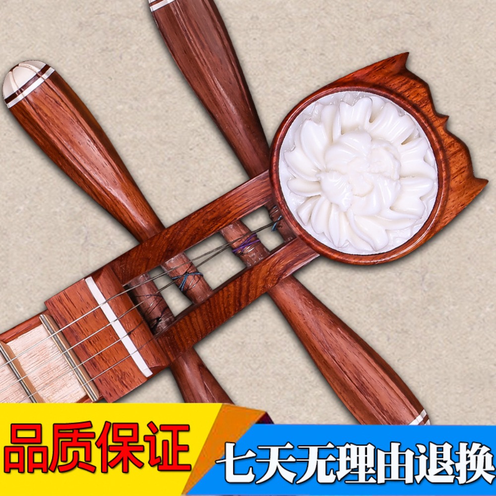 Pekin Xinghai 8414-A Şakayık D - Musical Instrument With A incelemesi ve fiyatı