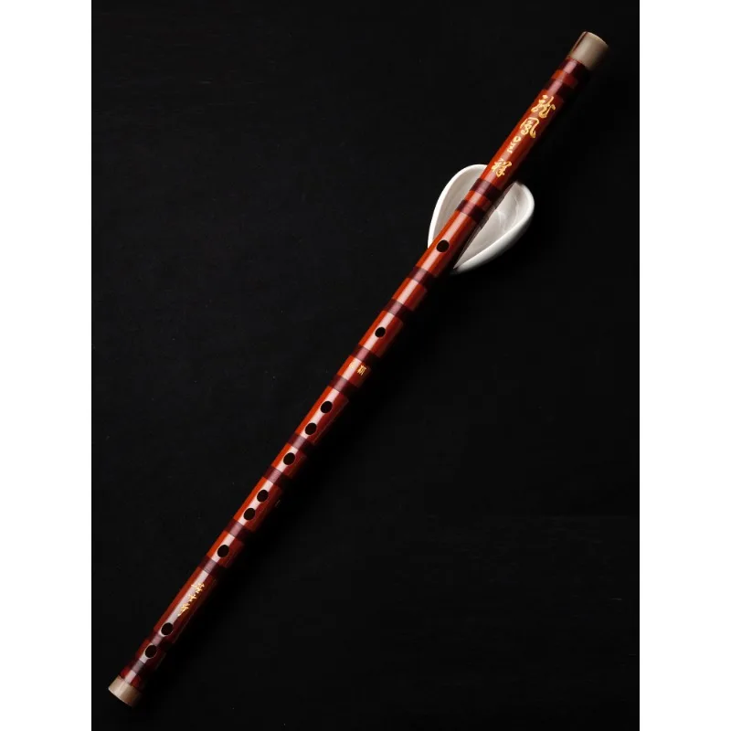 Profesyonel flüt, üst düzey fl - Musical Instrument Ancient incelemesi ve fiyatı