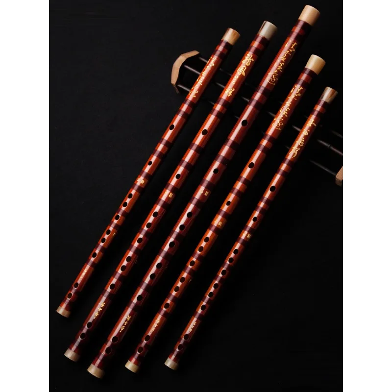 Profesyonel flüt, üst düzey fl - Musical Instrument Ancient incelemesi ve fiyatı