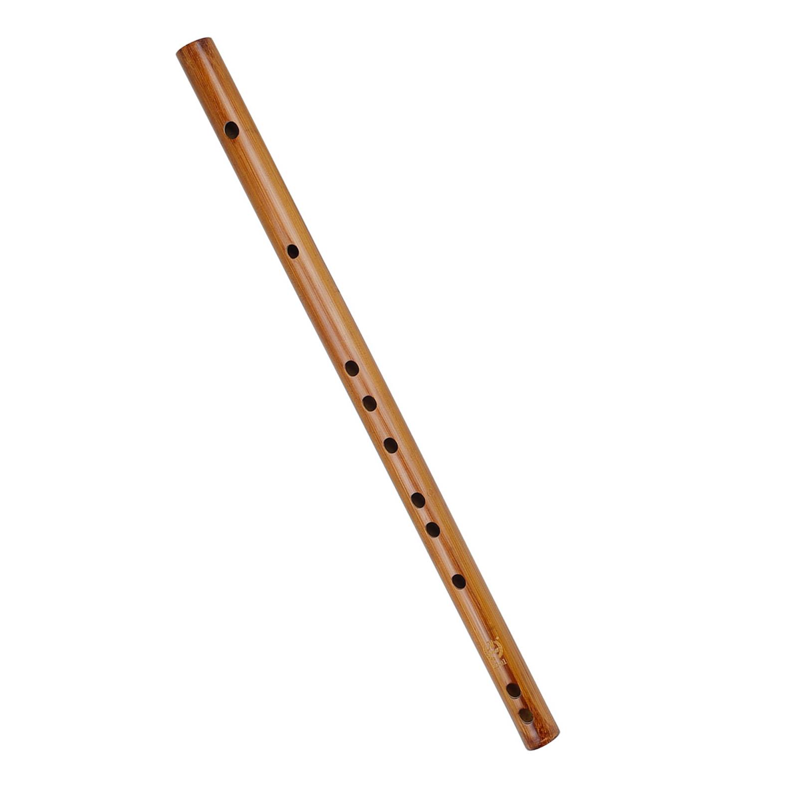 Benzersiz doğum günü hediyesi, - Musical Instrument Indian incelemesi ve fiyatı